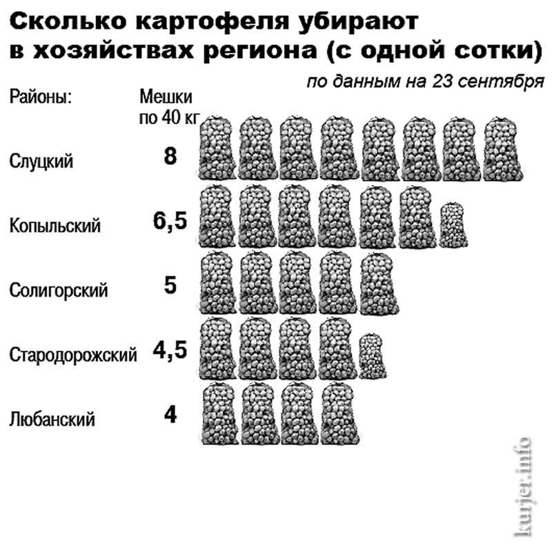 Урожайность картофеля с 1 га: как вырастить и увеличить количество на домашнем огороде