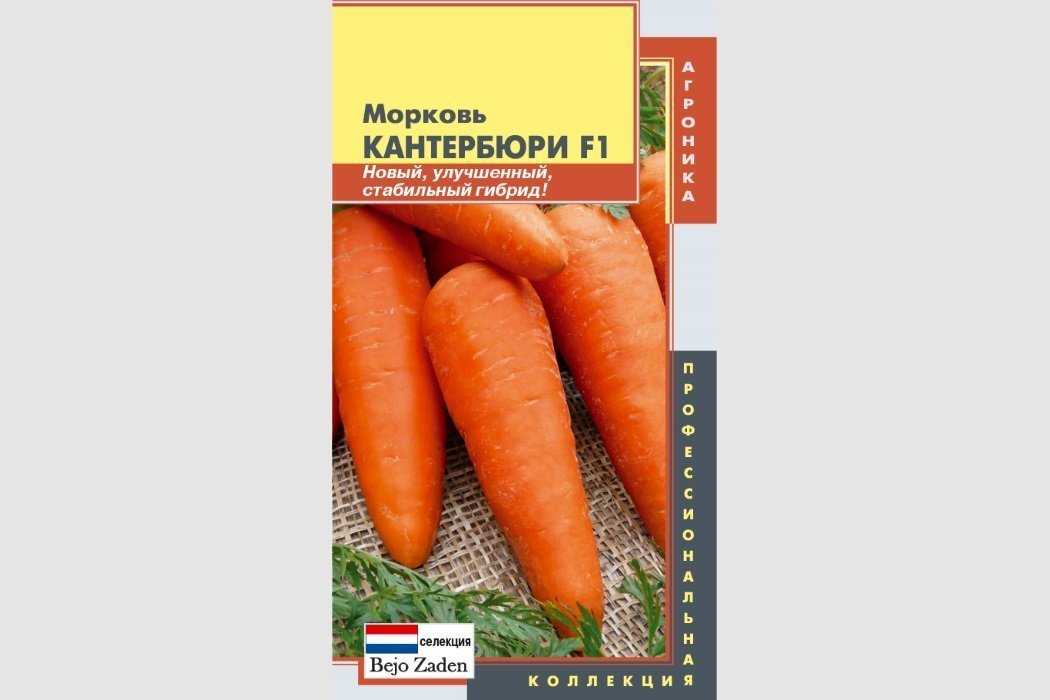 Морковь семена лучшие сорта для открытого. Морковь семена лучшие сорта для открытого грунта Сибирь. Морковь семена лучшие сорта для Сибири. Скороспелая морковь сорта. Лучшие сорта моркови для средней полосы.