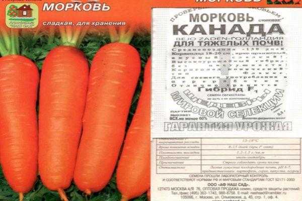 Позднеспелый столовый гибрид моркови болеро f1: описание и особенности выращивания