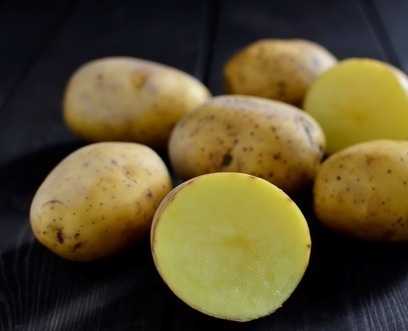 Картофель минерва: описание сорта, фото и отзывы, характеристика