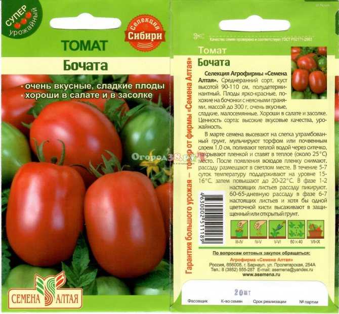 Вкуснейший помидор с огромными плодами — томат «чудо земли»