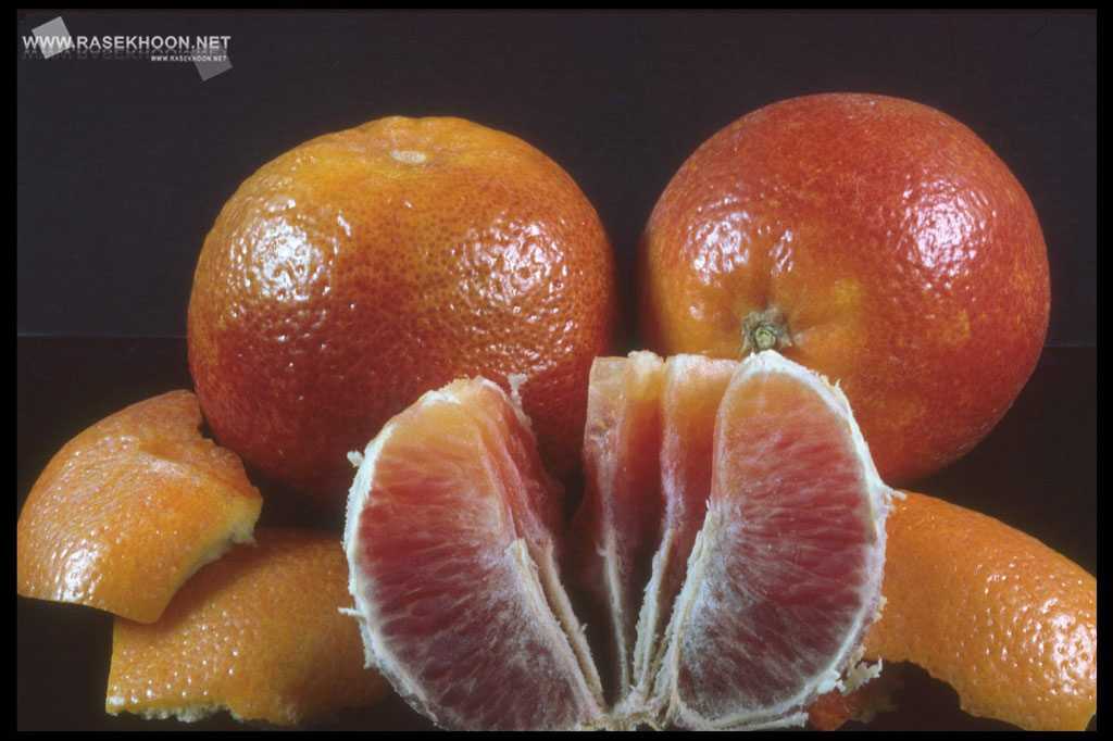 Со скольки можно апельсин. Красный мандарин Сицилийский. Гибрид мандарина и апельсина. Красный апельсин сорт Вашингтон. Померанец гибриды цитрусовых.