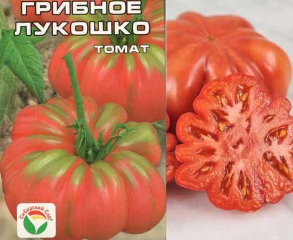 Как растёт томат бабушкино?