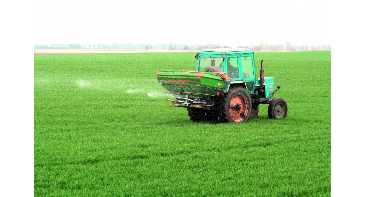 Удобрения для подкормки озимой пшеницы весной и нормы внесения на 1 га