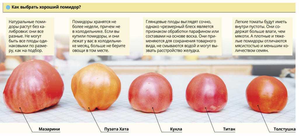 Томат или помидор как правильно. Томат и помидор отличие. Томат и помидор в чем разница. Чем отличается томат от помидора. Как различать помидоры.
