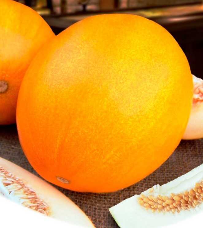 Почему дыня может быть с оранжевой мякотью внутри, что это за сорта?