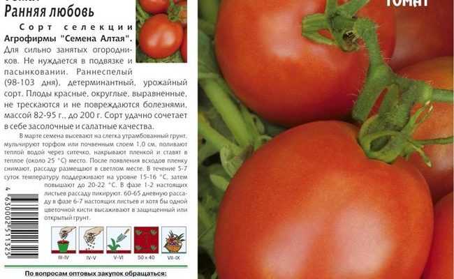 Томат ранняя любовь характеристика и описание сорта