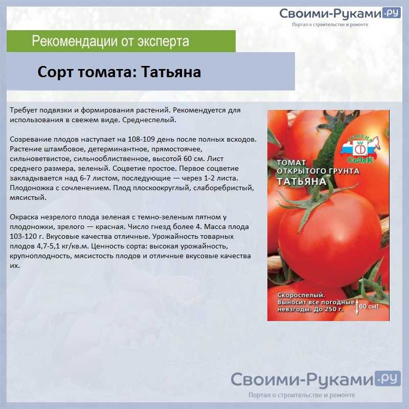 Томат колокола россии: описание сорта, фото, урожайность