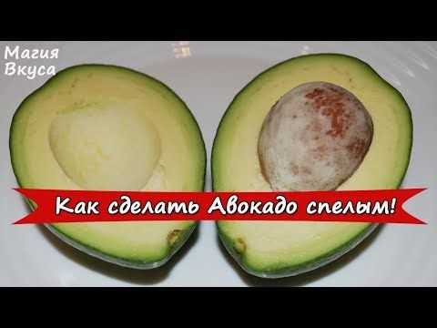 Секреты дозревания авокадо в домашних условиях