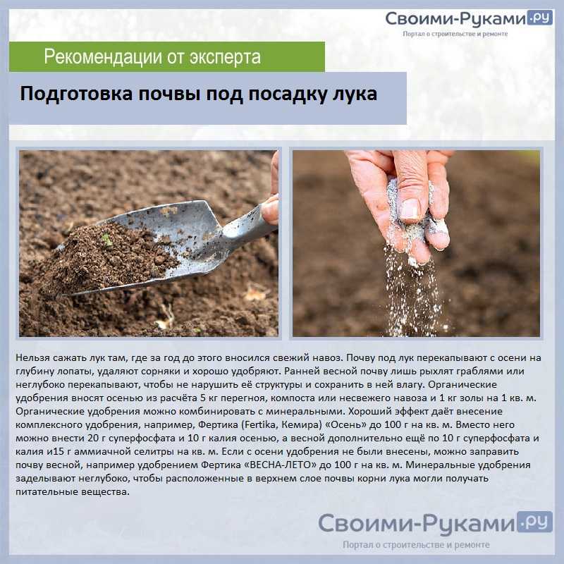 Карбамид – подкормка пшеницы правильным способом