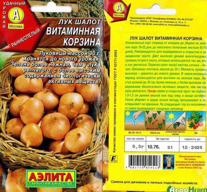 Семейный лук: описание сорта, выращивание и уход, фото