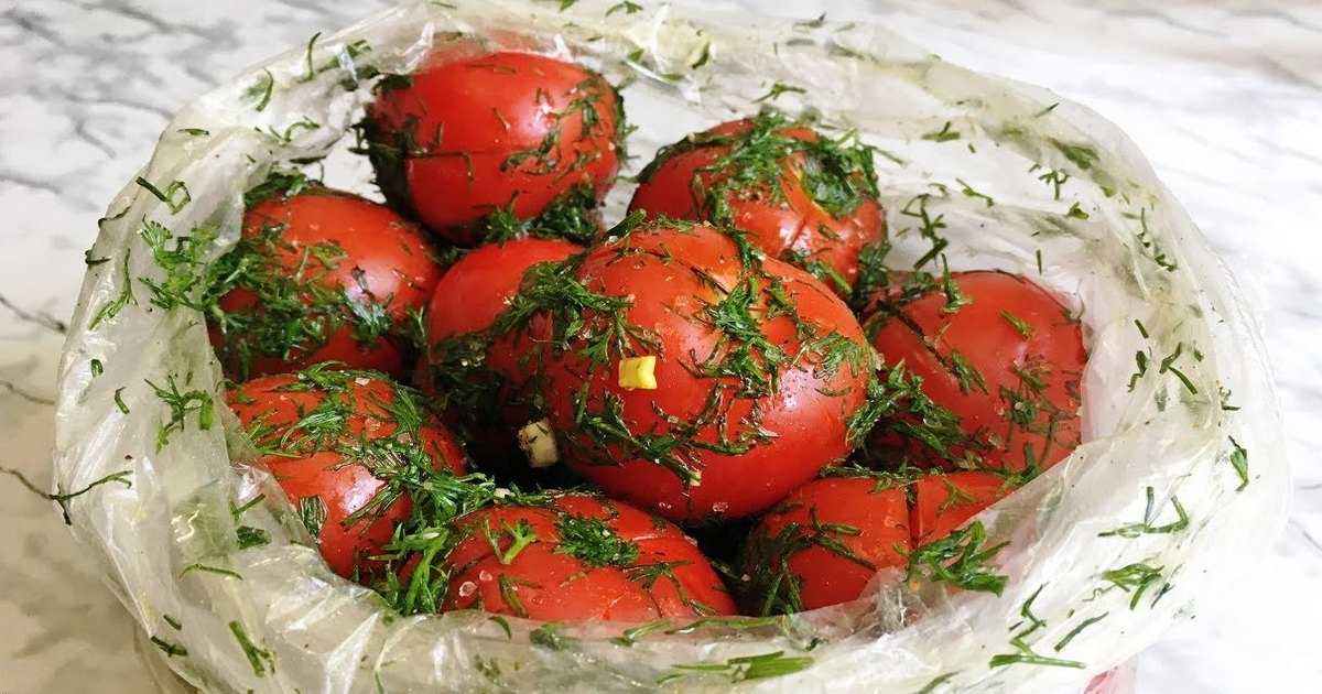 Малосольные помидоры в кастрюле — быстрые рецепты вкусных помидоров
