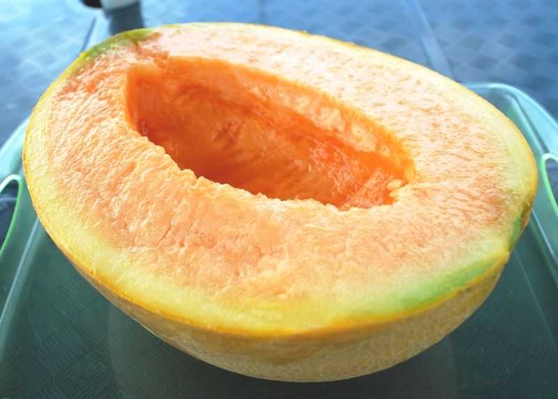Дыня оранжевая внутри: почему мякоть таким цветом, название и описание сортов