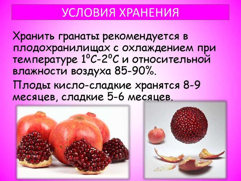 Гранат - это фрукт или ягода