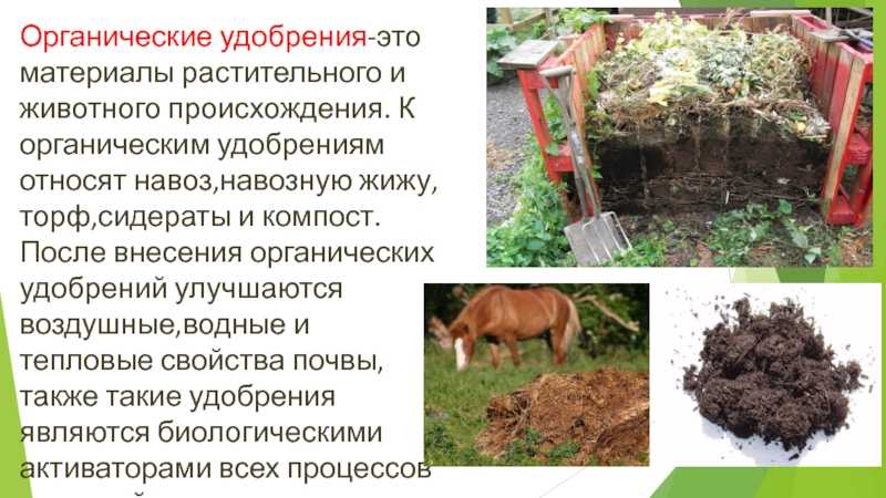 ᐉ куда девать помидорную и картофельную ботву, ведь их нельзя класть в компост - ruogorod.ru