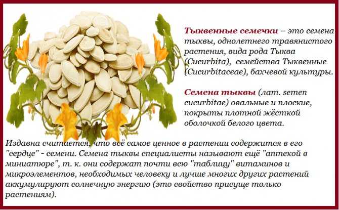 Семена тыквы - суперфуд красоты и здоровья. польза и вред