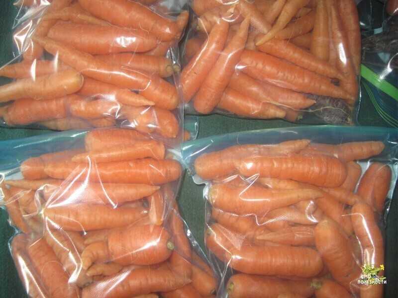 Как и сколько хранится вареная морковь в холодильнике и без?