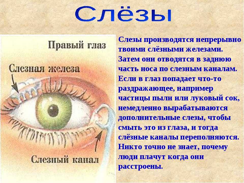 Что означает есть глазами. Почему текут слёзы из глаз. Причина слезятся глаза у человека. Если течет слеза с правого глаза. Откуда текут слезы из глаз.