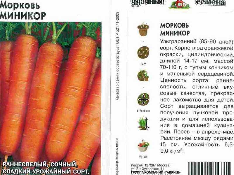 Морковь император: описание, отзывы и агротехника выращивания