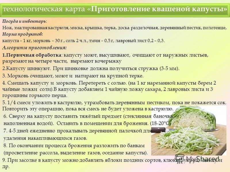 Почему плоды баклажан зеленого цвета и можно ли их есть? | sadsuper.ru