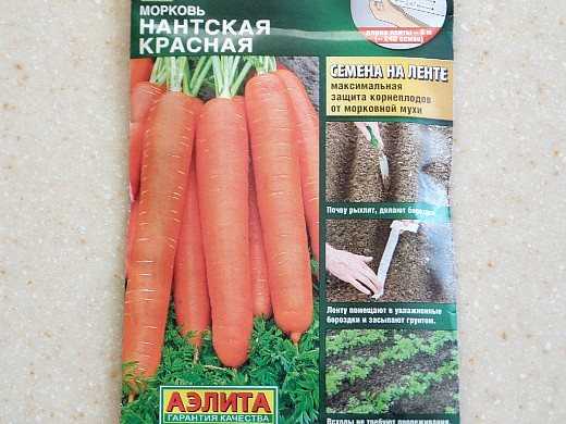 Морковь раннеспелая, средняя и поздняя: сорта этого корнеплода по сроку созревания, а также какие из них самые сладкие, как выбрать семена для открытого грунта? русский фермер
