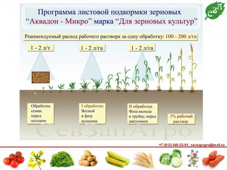Применение удобрений под яровые зерновые культуры