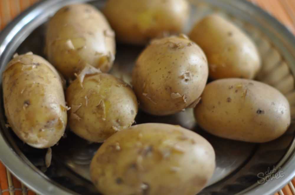 Лучшие сорта картофеля для длительного хранения