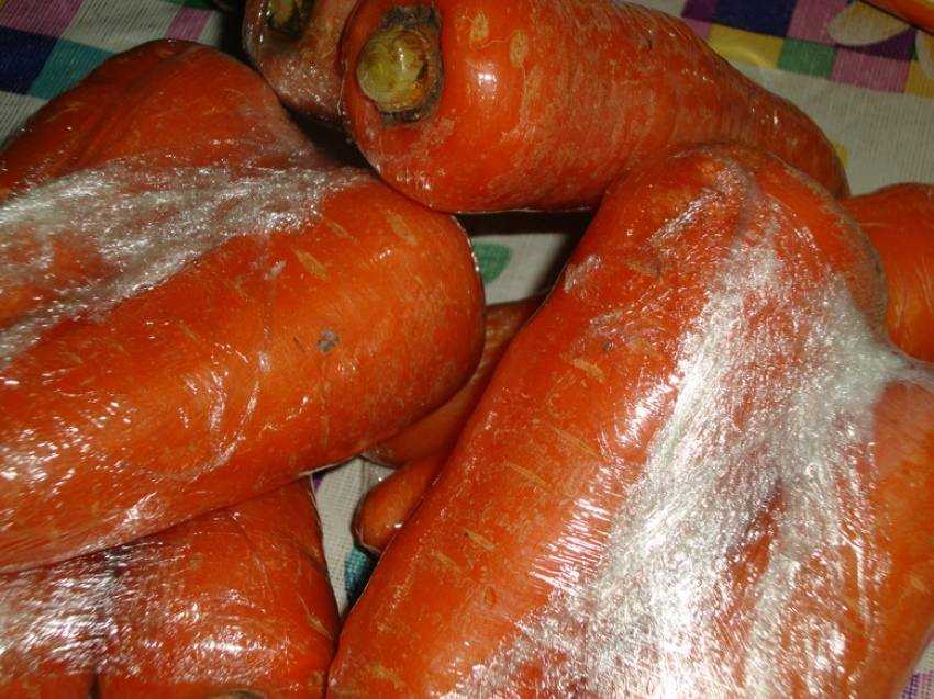 Как сохранить морковь в теплом погребе: инструкция, какова пригодность к долгому держанию, а также немного о полезных свойствах этого овоща selo.guru — интернет портал о сельском хозяйстве