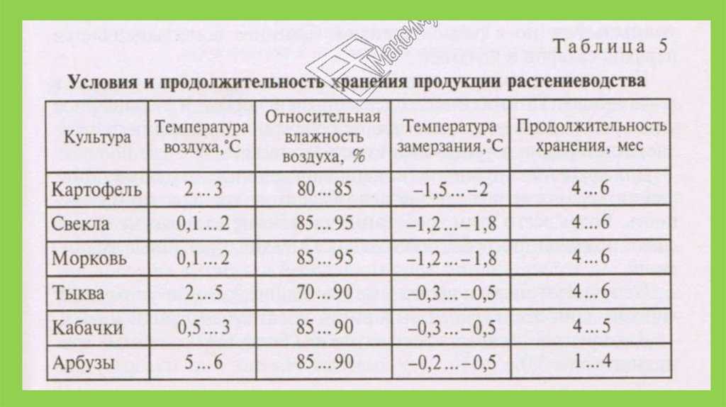 Все о температуре хранения картофеля