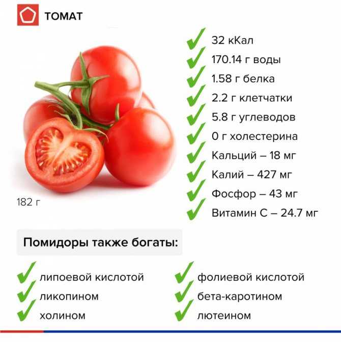 Зеленые помидоры: польза и вред для человека , можно ли их есть в свежем или соленом виде и как свести опасность к минимуму