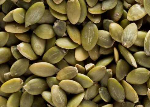 Полезные свойства и вред кабачковых семян