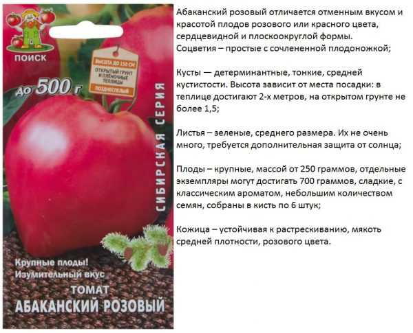 Томат "абаканский розовый": описание сорта, где растут лучше, характеристики плодов-помидоров, урожайность, рекомендации по выращиванию, фото-материалы русский фермер