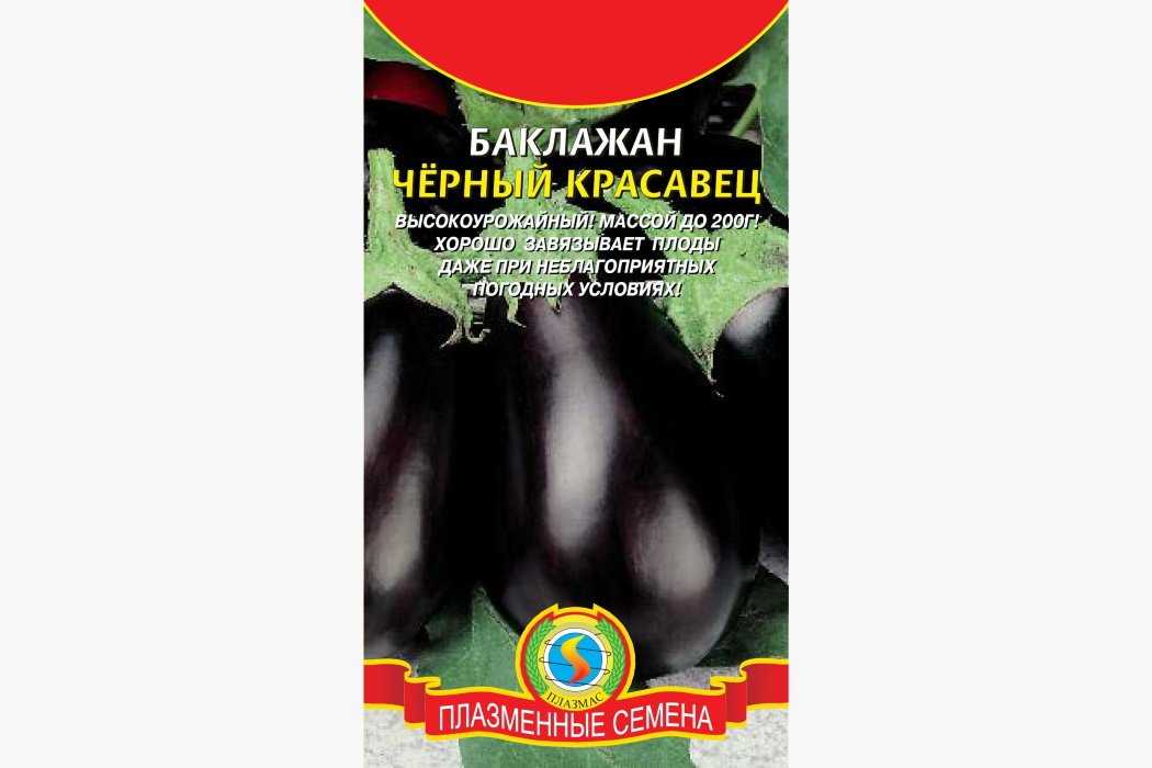 Баклажаны сорта черный красавец: описание, особенности выращивания и отзывы