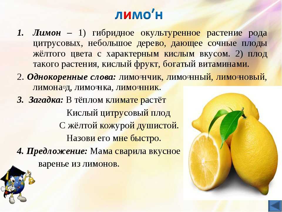Лимонная кислота содержится в мандаринах. Краткая информация о лимоне. Описание лимона. Лимон описание для детей. Лимон доклад детский.
