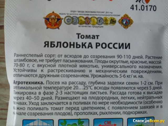 Томат яблонька россии