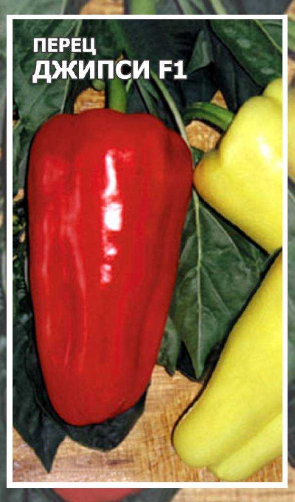 Сладкий перец джемини f1: описание и характеристики, правила выращивания и хранения урожая