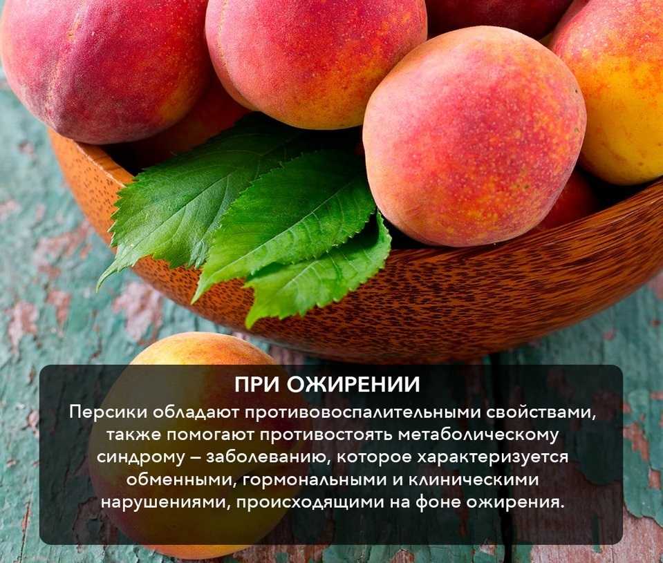 Персики: польза и вред для организма женщины и мужчины, сколько можно есть