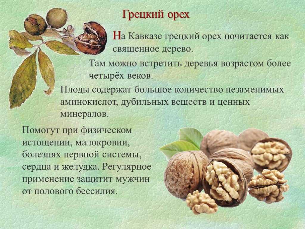 Грецкие орехи рецепт для мужчин