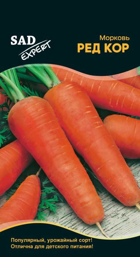Морковь ред кор: подробное описание сорта, отличие от других разновидностей, преимущества и недостатки, выращивание, сбор и хранение урожая, болезни и вредители русский фермер