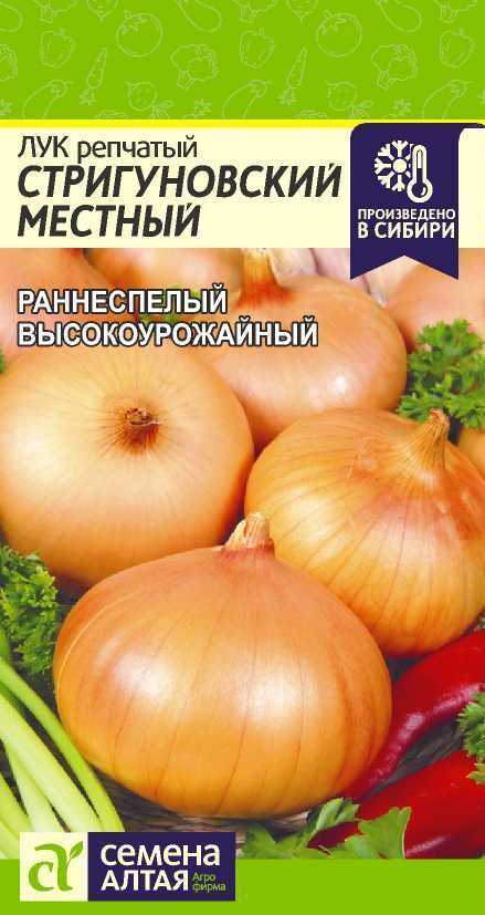 Лук стригуновский. Лук севок Стригуновский. Лук Стригуновский местный семена Алтая. Лук репчатый Стригуновский местный.