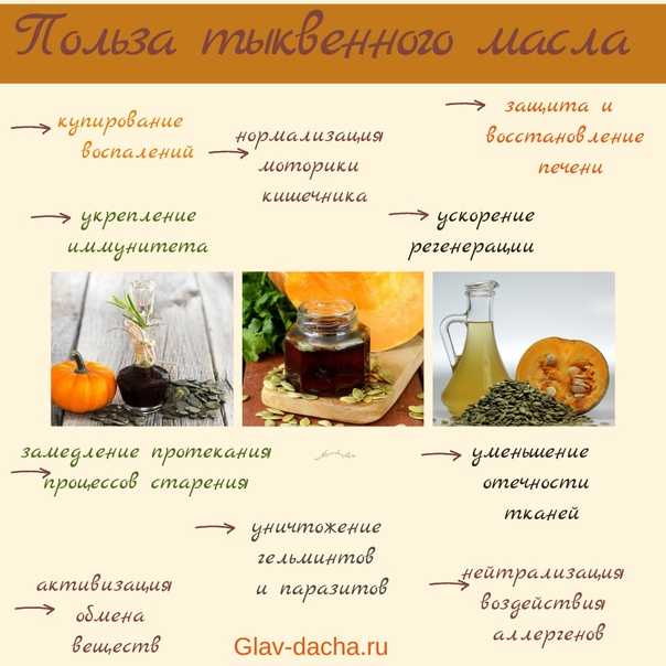 Масло тыквы: польза и вред, лечебные свойства и противопоказания, как принимать