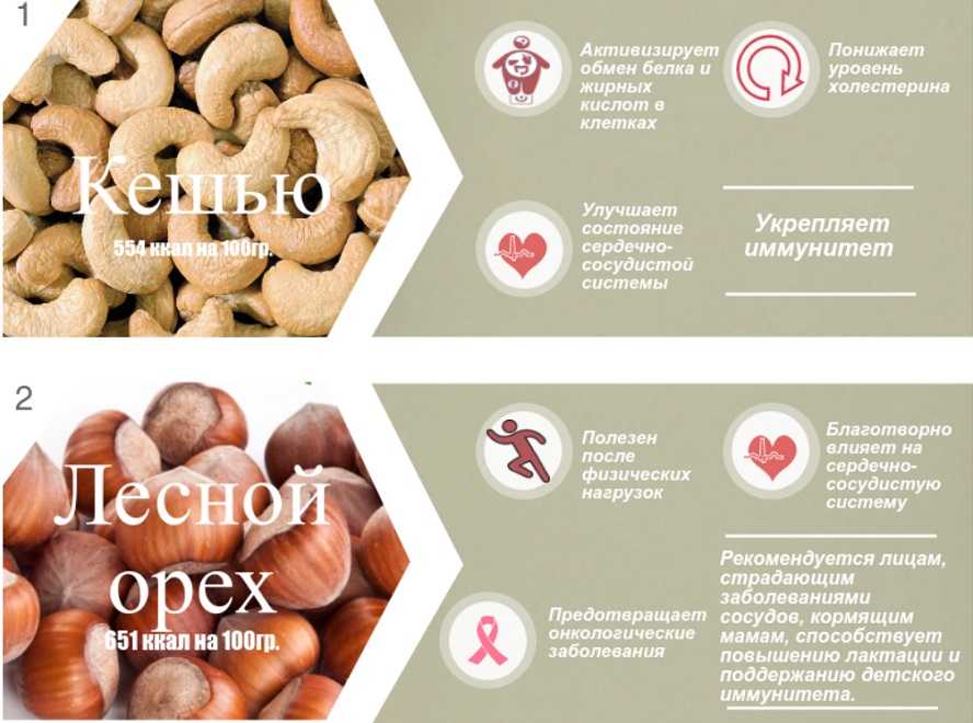 Кедровые орехи: полезные свойства и противопоказания, калорийность, состав