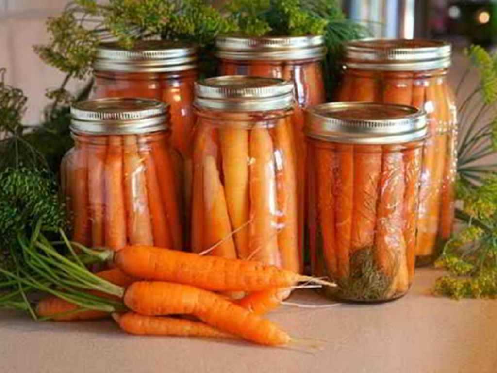 Заготовки из моркови на зиму. рецепты вкусные и простые | народные знания от кравченко анатолия
