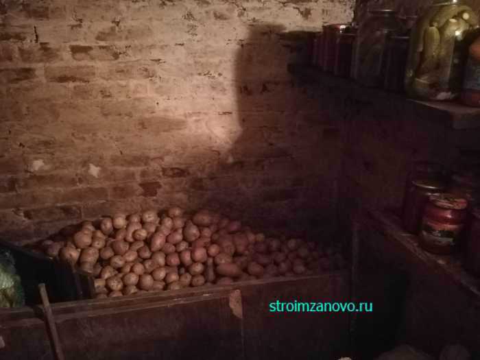 Инструкция как сохранить картошку в погребе от гниения