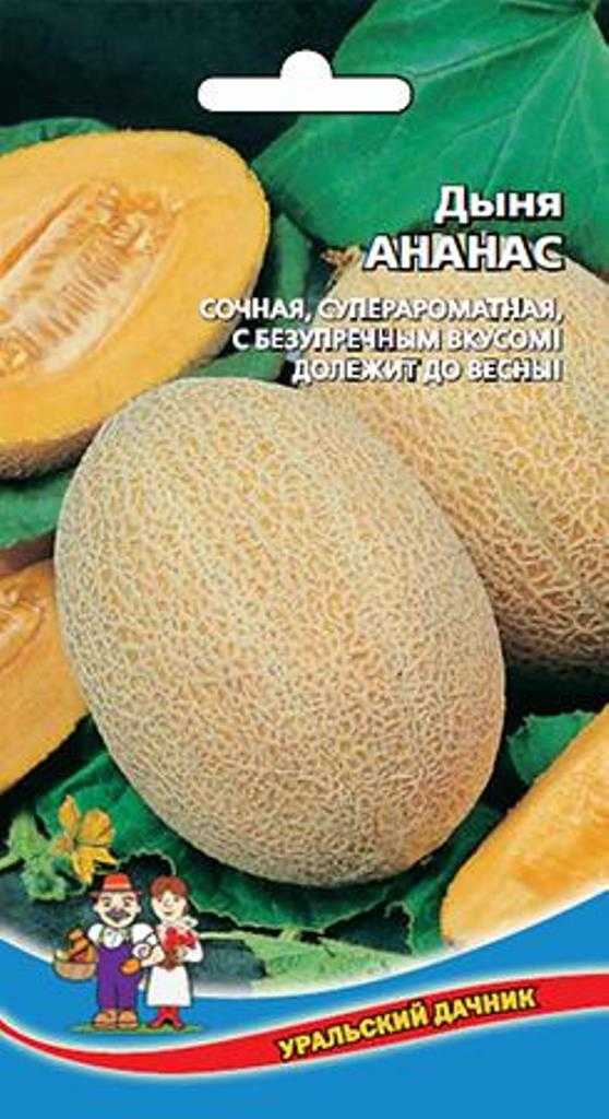 Характеристика и описание дыни сорта “ананасовая”