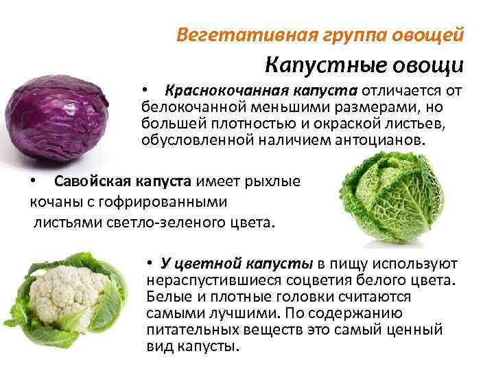 Брокколи и цветная капуста: это одно и то же или нет, чем отличаются сорта, как выглядят на фото, сколько калорий содержат, а также чем полезны эти овощи? русский фермер