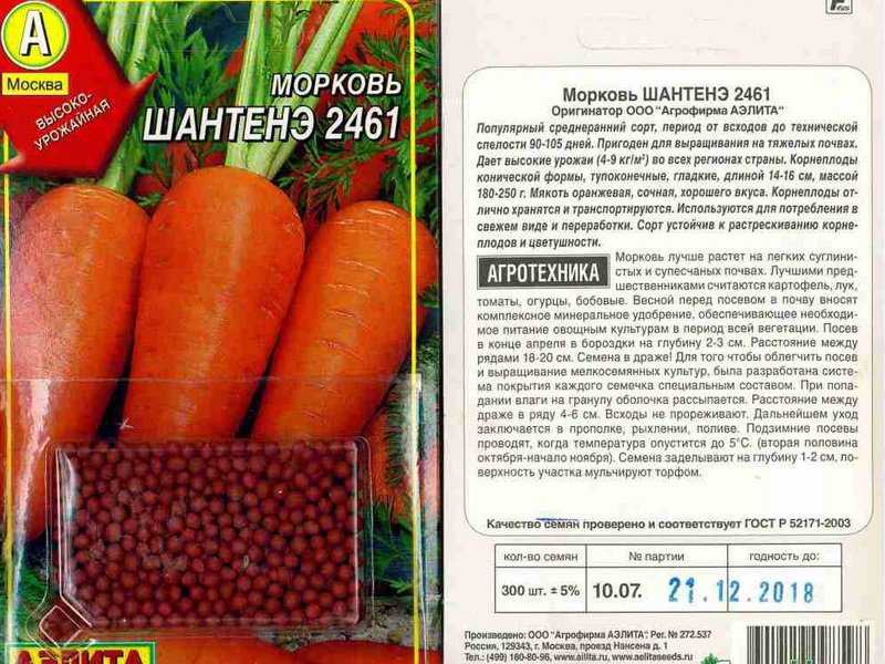 Характеристика и описание моркови сорта осенний король