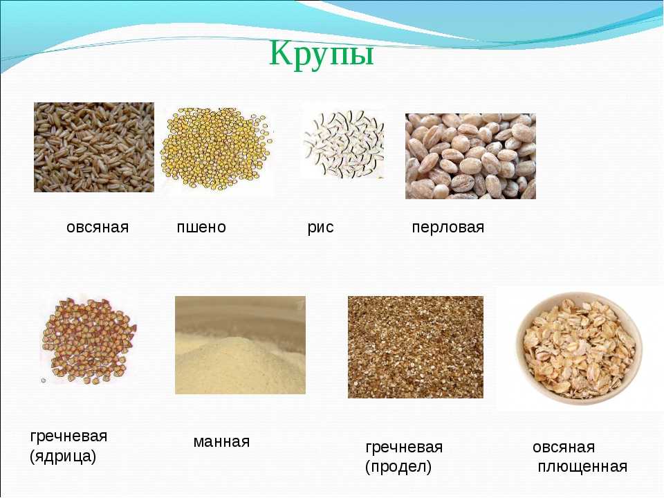 Что такое гречка ядрица и как её правильно готовить