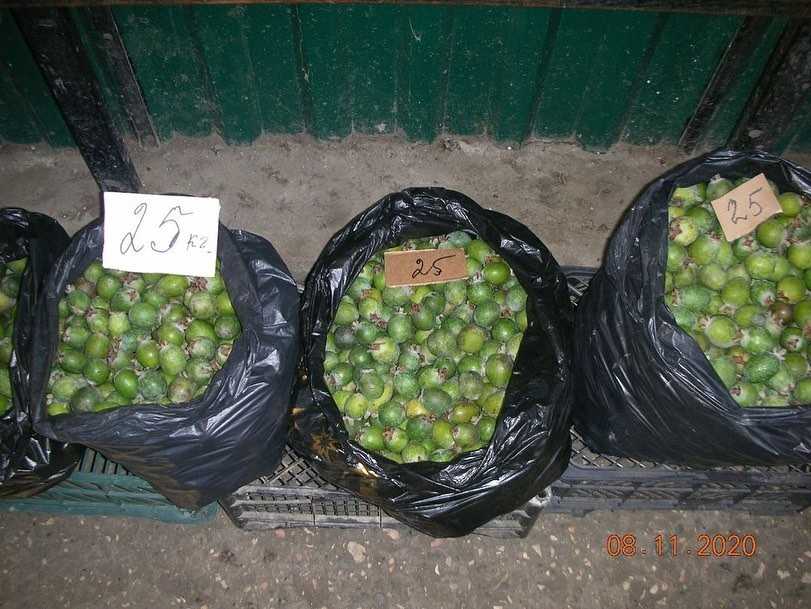 Абхазия: календарь фруктов и лакомств