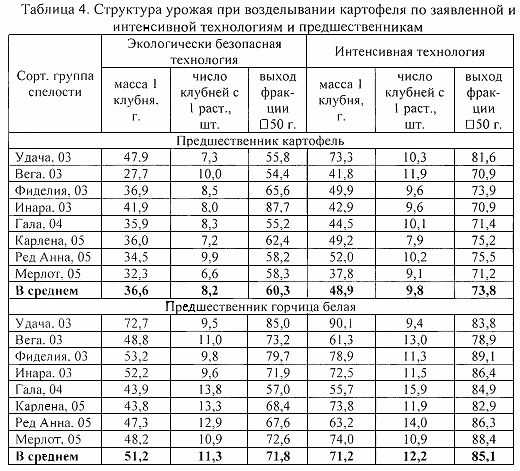 Средняя урожайность моркови с 1 га в россии